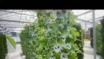 Amazon.com : ZXMT Hydroponics Tower Growing System,Vertical